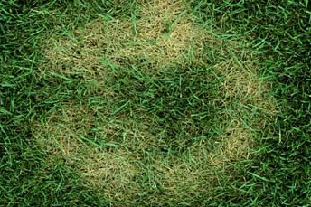 Zone Morte ad Anello